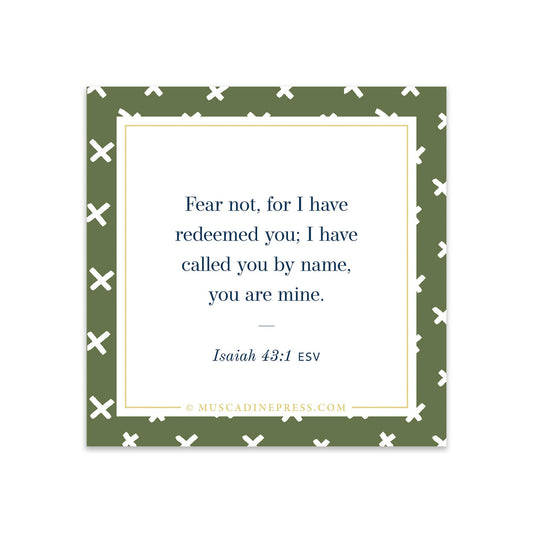 Scripture Static Cling, Fear Not